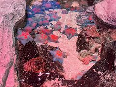 -沈阳海洋探索中心