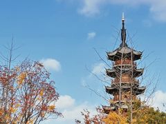 -龙华寺