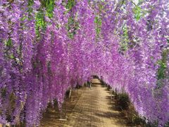 -宝岩生态观光园