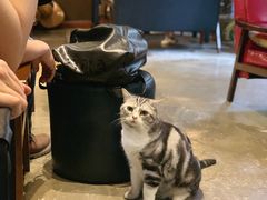 -咖法森林·咖啡  酒吧(天河店)