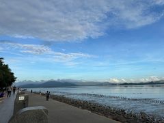 -深圳湾公园(南山区)