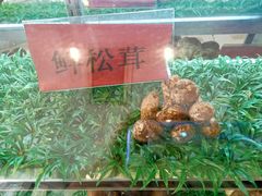 -天宜隆蘑菇宴火锅(石景山旗舰店)