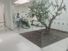 -极简口腔(总院)