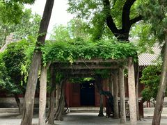 -天龙宝严素食馆(大兴善寺店)