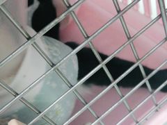 -宠福鑫康馨动物医院·骨科·眼科