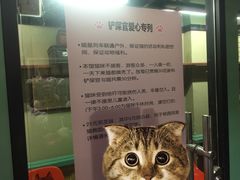 -猫咪博物馆(顶澳仔猫街店)