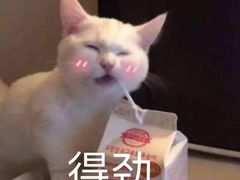 -容州国际大酒店