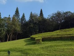 -广州市白云山风景名胜区