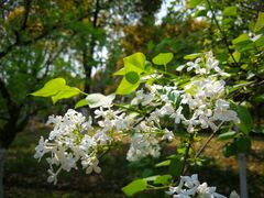 -白塘生态植物园