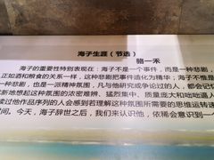 -海子诗歌陈列馆