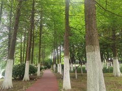 -滨湖塘西河公园