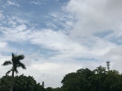 -东莞植物园