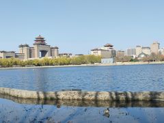 -莲花池公园