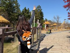 -茅山东方盐湖城景区