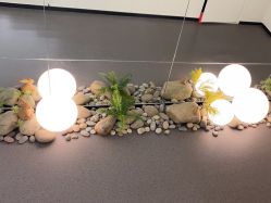 -联合丽格·张菡丽格医疗美容