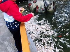 -世界地热博览园