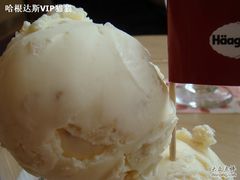 DSC07963-哈根达斯(西安高新店)