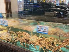 -潮粤香海鲜酒楼(沙湖店)