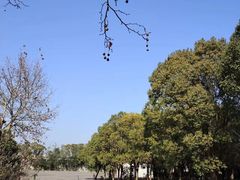 -胜华驾校·小猫学车(银都店)