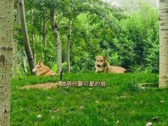 -北京野生动物园