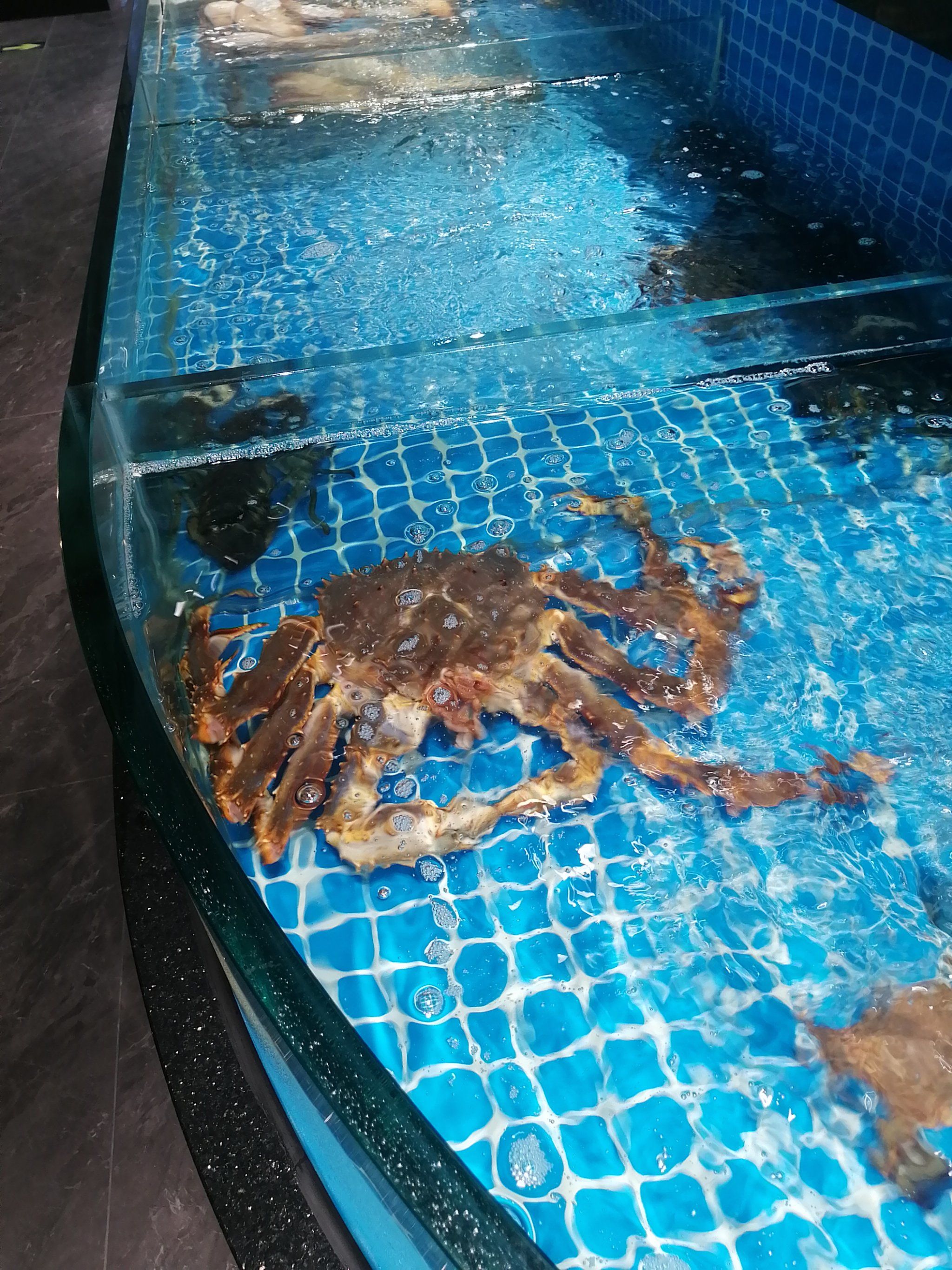 想吃活海鲜还是如意轩豆捞,食材新鲜