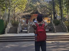 -宝岩生态观光园