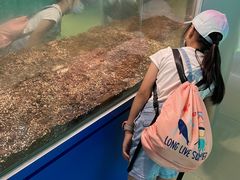 -上海昆虫博物馆