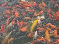 -会龙寺