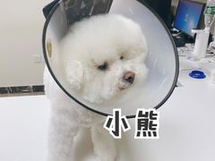 -美联众合动物医院·24h转诊中心