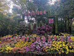 -杭州植物园