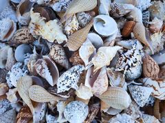 -东戴河风景区-止锚湾