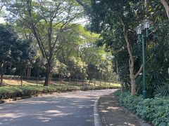 -观澜湖高尔夫球会
