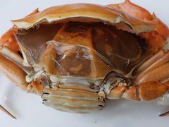 重壳蟹-新海利(北岭店)