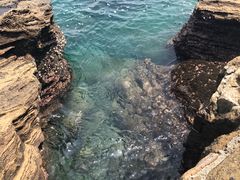 -龙头岩(Dragon Head Rock)