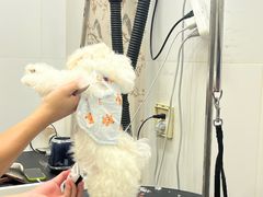 -囡的喵喵酱·萌宠生活馆·宠物洗护美容(胶州路店)