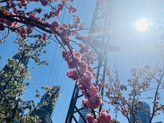 -西北湖绿化广场