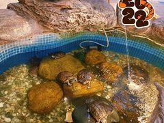 -御膳粥·牛乳粥底火锅·地道顺德菜(容桂店)