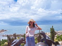 -广东惠东海龟国家级自然保护区