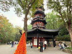 -上海佘山国家森林公园西佘山园