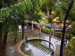 -罗浮山嘉宝田森林温泉度假酒店