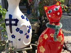 -猫咪博物馆(顶澳仔猫街店)