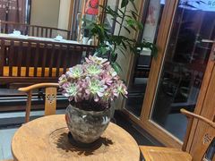 -四点金粥底火锅(沂州里店)