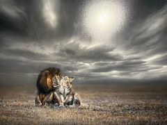 -罗红摄影艺术馆