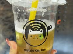-楼上猫咖(罗湖店)