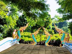 -西双版纳勐泐文化旅游区