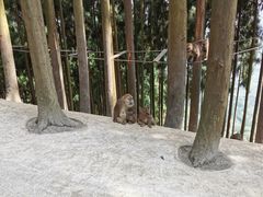 -太阳湾风景区