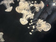 -西安华夏文旅水世界