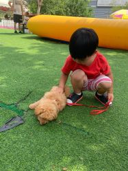 -萌宠亲子动物乐园(槐房万达店)