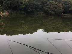 -凤岗南门山森林公园