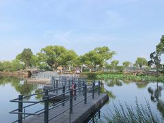 -无锡蠡湖国家湿地公园-蠡园